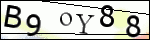 Human Confirmation Code (Captcha)