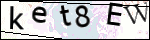 Human Confirmation Code (Captcha)
