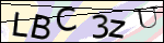 Human Confirmation Code (Captcha)