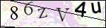 Human Confirmation Code (Captcha)