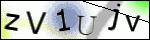 Human Confirmation Code (Captcha)