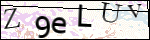 Human Confirmation Code (Captcha)