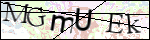 Human Confirmation Code (Captcha)