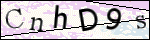 Human Confirmation Code (Captcha)
