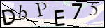 Human Confirmation Code (Captcha)