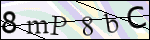 Human Confirmation Code (Captcha)