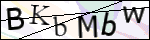 Human Confirmation Code (Captcha)