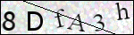 Human Confirmation Code (Captcha)