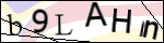 Human Confirmation Code (Captcha)