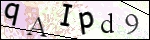 Human Confirmation Code (Captcha)