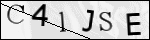 Human Confirmation Code (Captcha)
