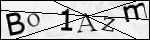 Human Confirmation Code (Captcha)