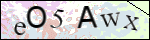 Human Confirmation Code (Captcha)