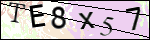 Human Confirmation Code (Captcha)