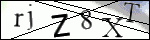 Human Confirmation Code (Captcha)