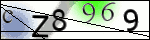 Human Confirmation Code (Captcha)