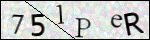 Human Confirmation Code (Captcha)
