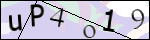 Human Confirmation Code (Captcha)