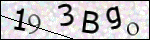 Human Confirmation Code (Captcha)