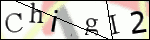 Human Confirmation Code (Captcha)