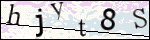 Human Confirmation Code (Captcha)