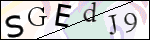 Human Confirmation Code (Captcha)