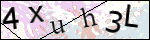 Human Confirmation Code (Captcha)