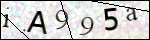 Human Confirmation Code (Captcha)