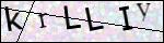 Human Confirmation Code (Captcha)