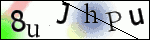Human Confirmation Code (Captcha)