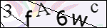 Human Confirmation Code (Captcha)