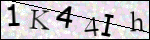 Human Confirmation Code (Captcha)