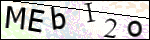 Human Confirmation Code (Captcha)