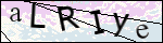 Human Confirmation Code (Captcha)