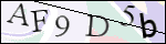 Human Confirmation Code (Captcha)