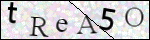 Human Confirmation Code (Captcha)