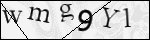 Human Confirmation Code (Captcha)