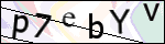 Human Confirmation Code (Captcha)