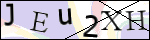 Human Confirmation Code (Captcha)