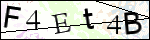 Human Confirmation Code (Captcha)