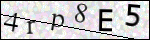 Human Confirmation Code (Captcha)