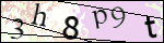 Human Confirmation Code (Captcha)
