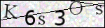 Human Confirmation Code (Captcha)