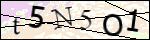 Human Confirmation Code (Captcha)