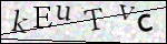 Human Confirmation Code (Captcha)