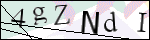 Human Confirmation Code (Captcha)