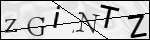 Human Confirmation Code (Captcha)