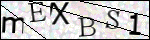 Human Confirmation Code (Captcha)
