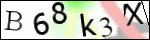 Human Confirmation Code (Captcha)