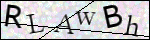 Human Confirmation Code (Captcha)